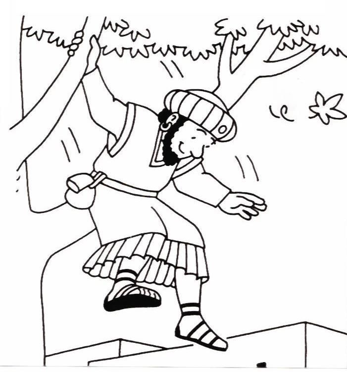 701x751 Dibujo Para Pintar Sobre Zaqueo Dibujos Biblicos