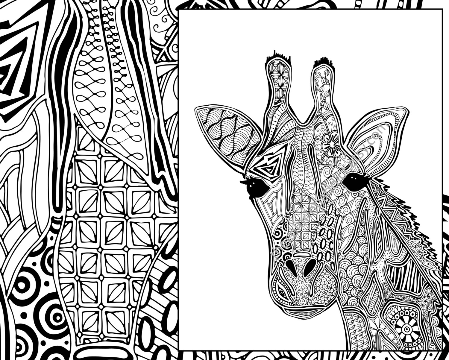 1500x1203 Giraffe Coloring Page Animal Coloring Page Adult Coloring