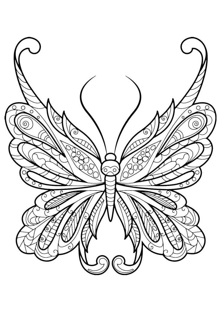 Intricate Butterfly Coloring Pages