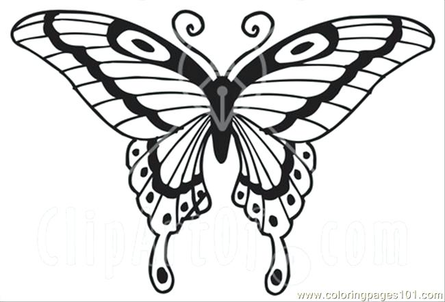 650x442 Coloring Page Of Butterfly Butterfly Coloring Pages Fresh E