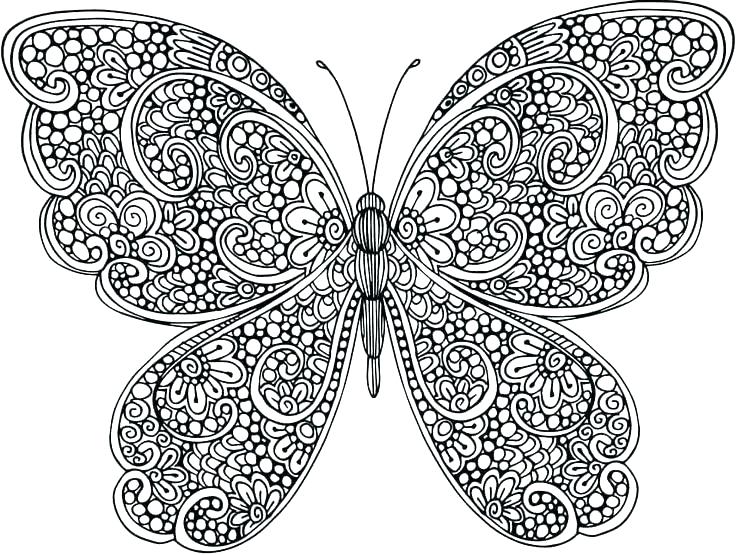 736x555 Coloring Page Of Butterfly Coloring Page Of Butterfly Coloring