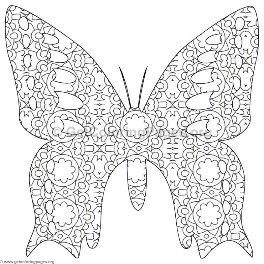 843x843 22 Detailed Butterfly Coloring Pages, Don 039t Eat The Paste