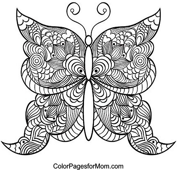 605x581 Intricate Butterfly Coloring Pages Butterfly Coloring Page 21