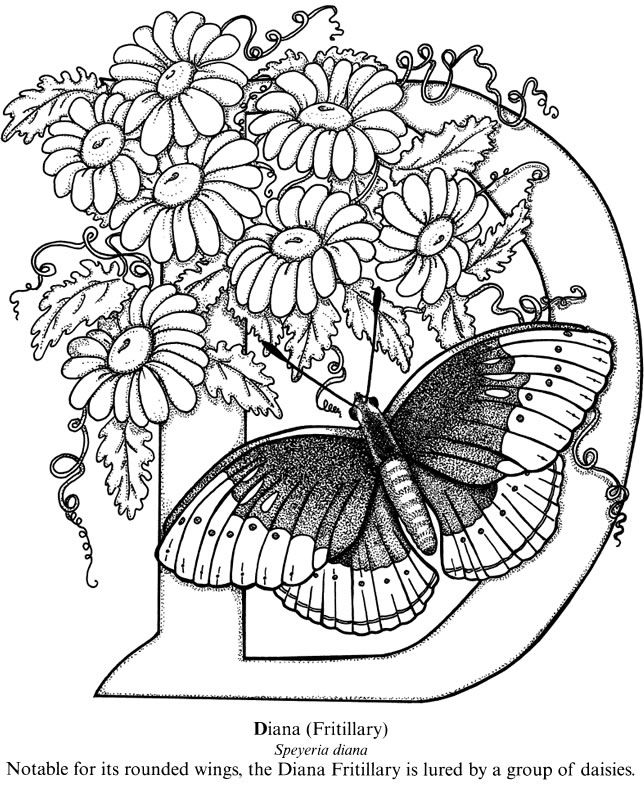 644x785 Wonderful Intricate Butterfly Coloring Pages For Newest Article