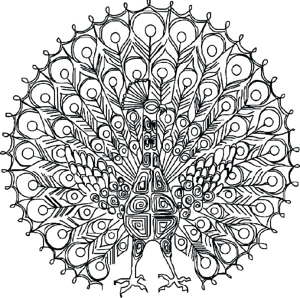 600x597 Complex Animal Colouring Pages Cat Coloring For Adults Tabby