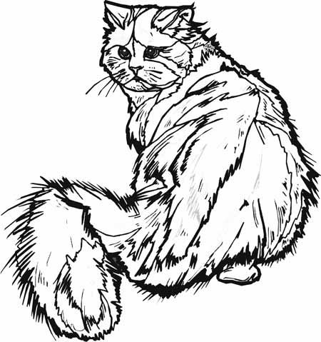 450x479 Hard Cat Coloring Pages