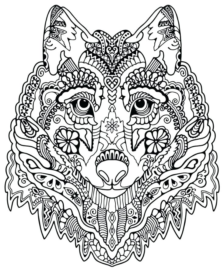 736x896 Intricate Design Coloring Pages Rosette Intricate Patterns