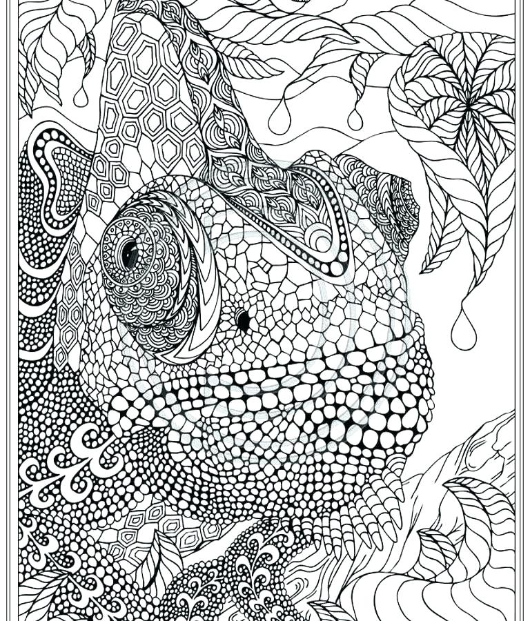 768x900 Intricate Coloring Book Intricate Coloring Books Together