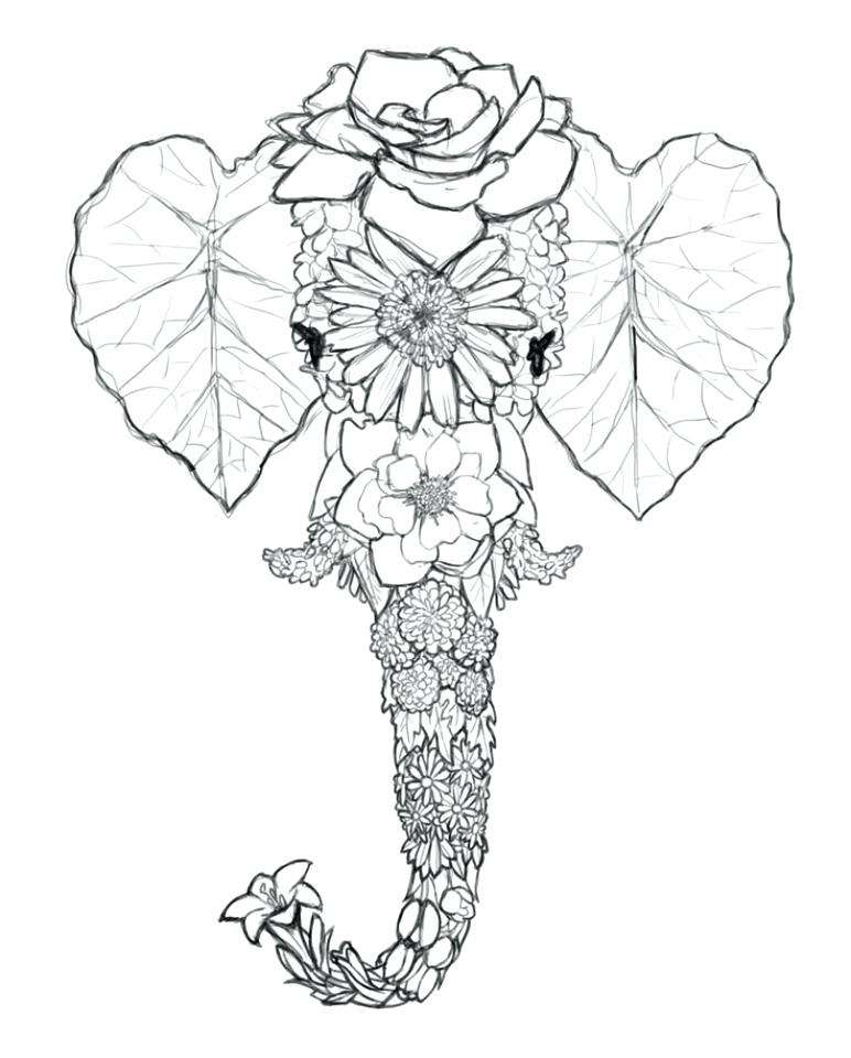 772x960 Adult Coloring Pages Elephant Medecine Du