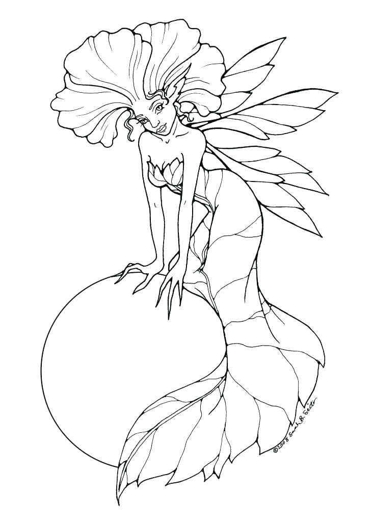 732x1024 Free Fairy Coloring Pages For Adults Free Coloring Pages Fairies