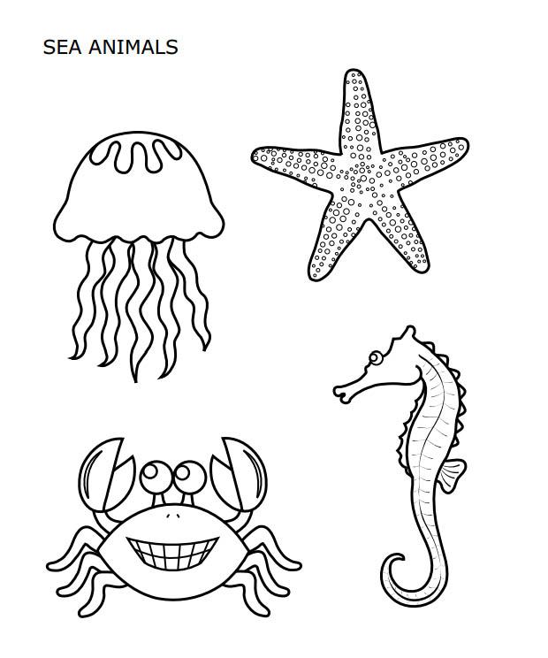 Invertebrates Coloring Pages