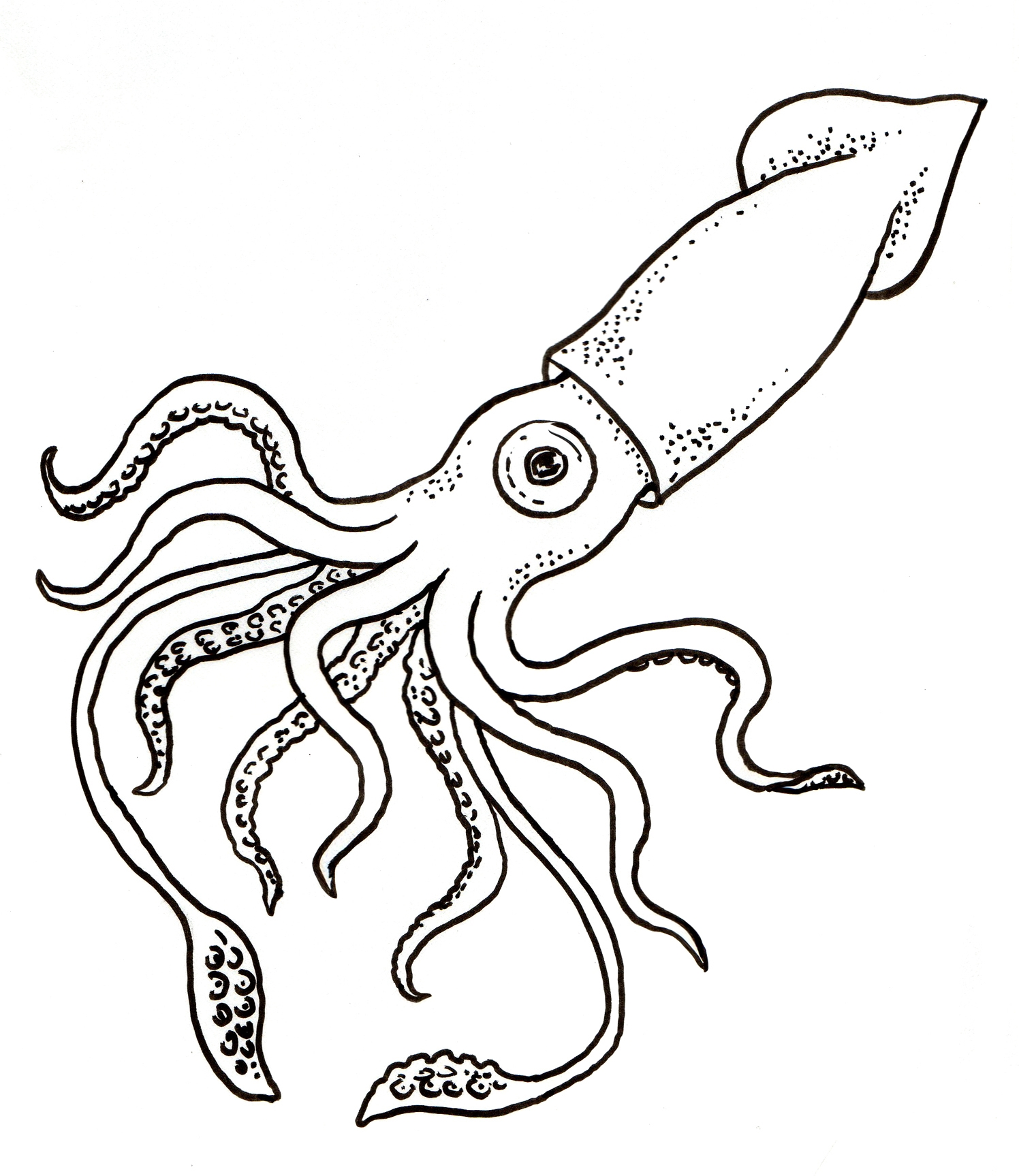1496x1727 New Squid Page To Color Collection Printable Coloring Sheet