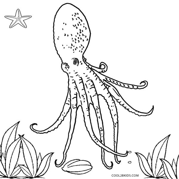 600x600 Printable Octopus Coloring Page For Kids Cool2bkids