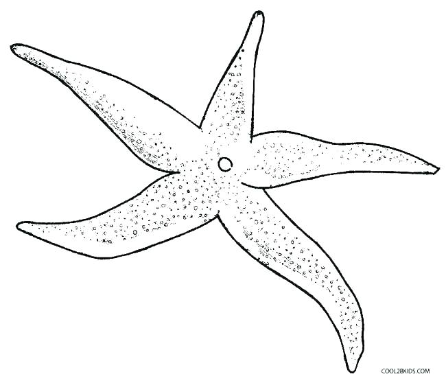 650x558 Starfish Coloring Sheet Small Starfish Coloring Page Fish Pages