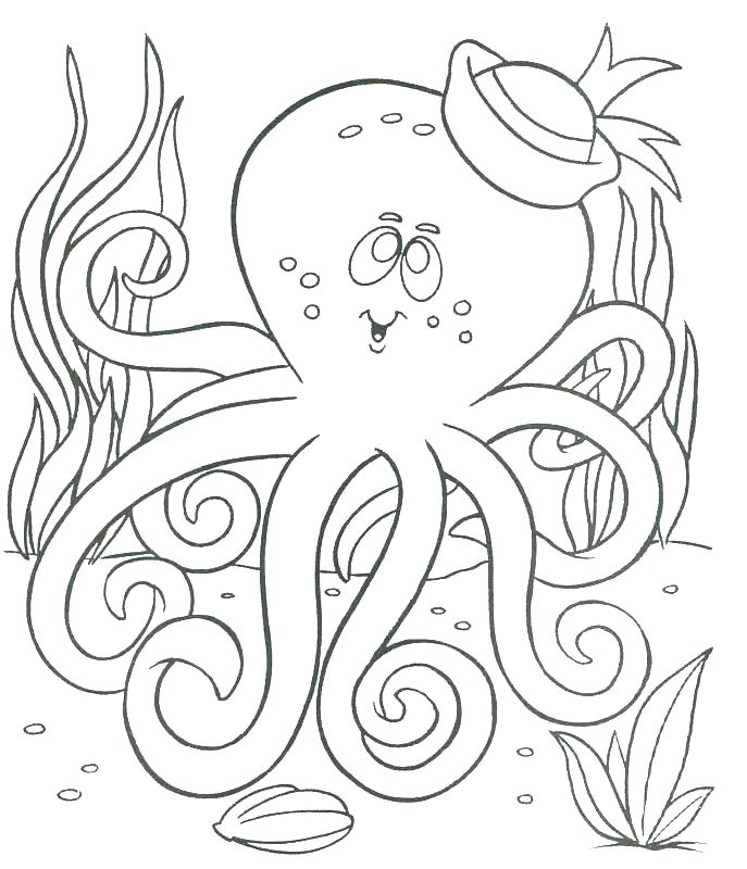 687x800 Ocean Animals Coloring Pages Icontent