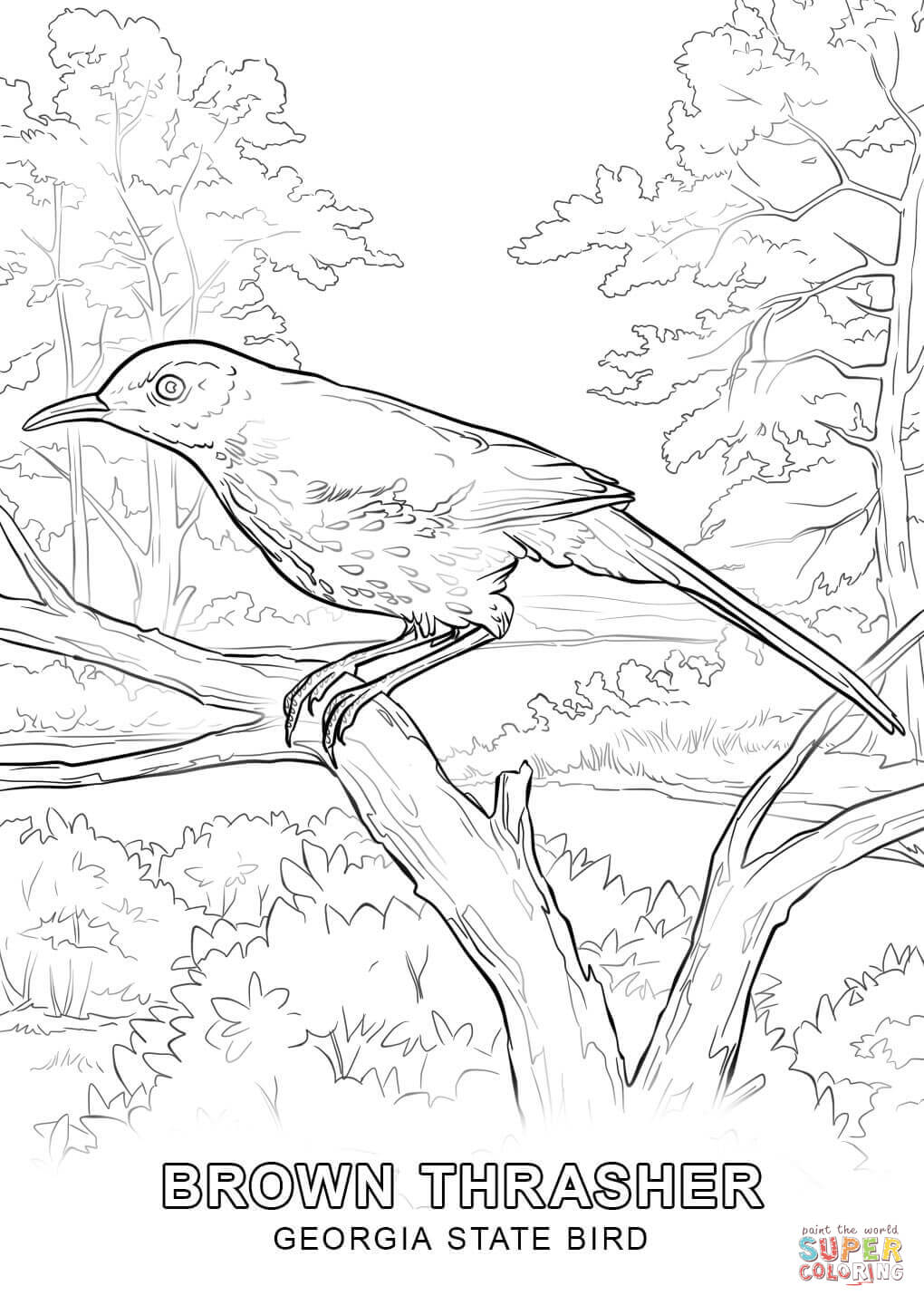 1020x1440 Proven Iowa State Bird Coloring Page Free Prin