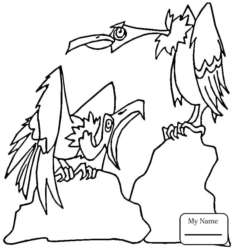 765x821 Hawk Coloring Pages Iowa Hawkeye Coloring Pages