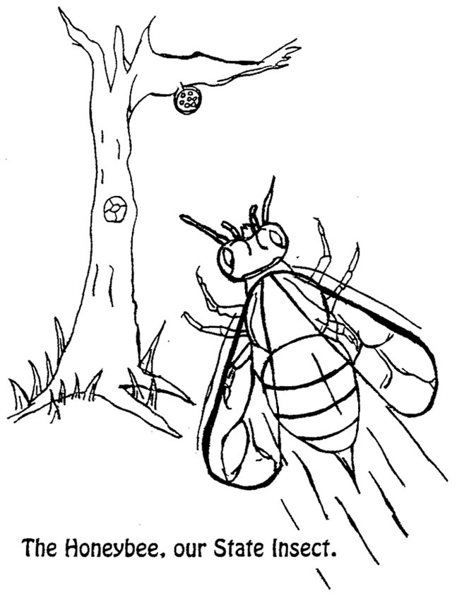 647x843 Kansas State Flag Coloring Page 424135