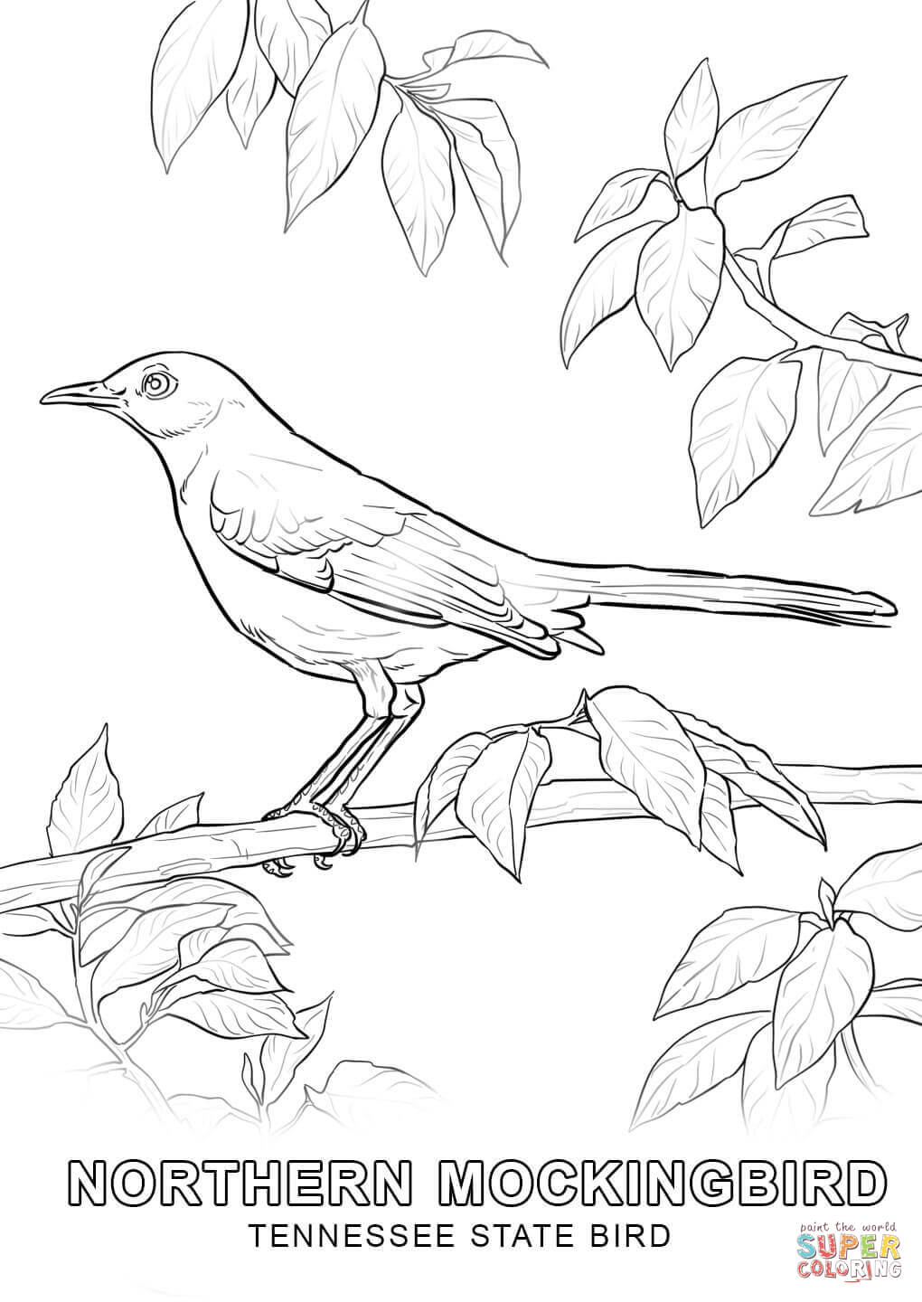 1020x1440 Reliable Iowa State Bird Coloring Page Tennessee Free Printable