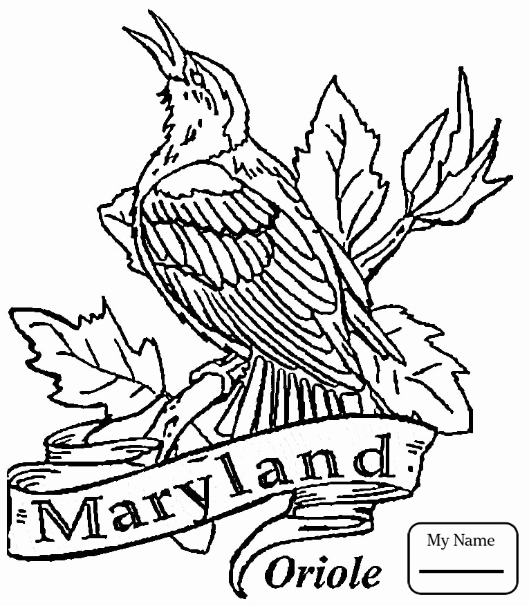 765x877 12 Awesome Of Iowa State Bird Coloring Page Stock
