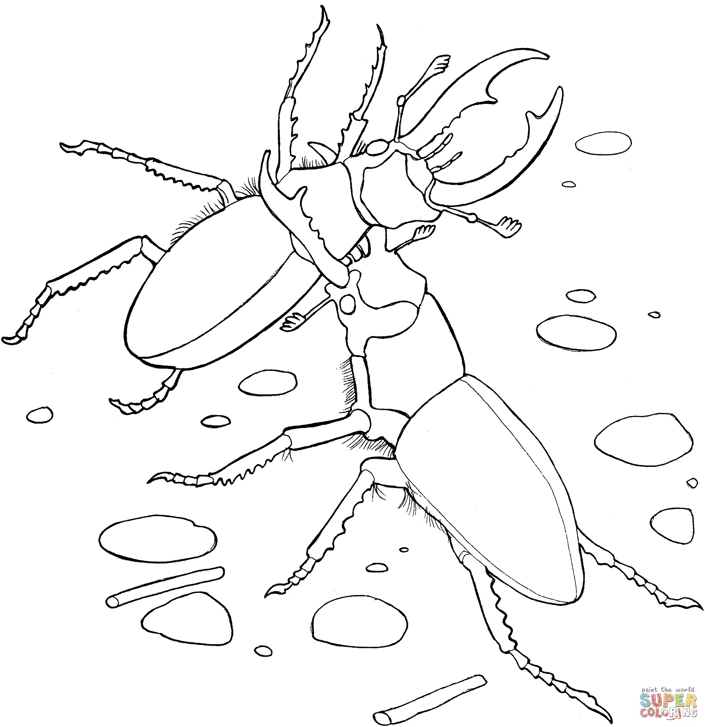 2249x2317 Miracle Coloring Pages For Ipad Pro Apple Colouring