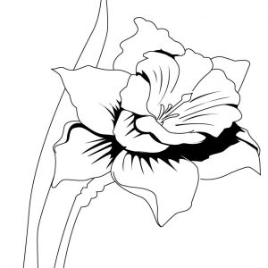 300x300 Pokemon Iris Coloring Pages Best Of Iris Flower Coloring Page Many