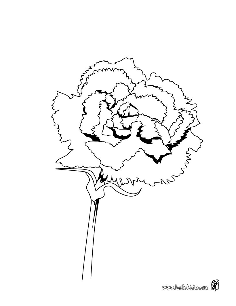 820x1060 Iris Details Coloring Pages