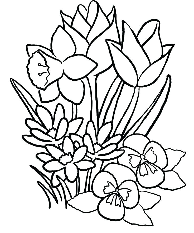 736x887 Lotus Flower Coloring Page Lotus Flower Coloring Page Iris Flower