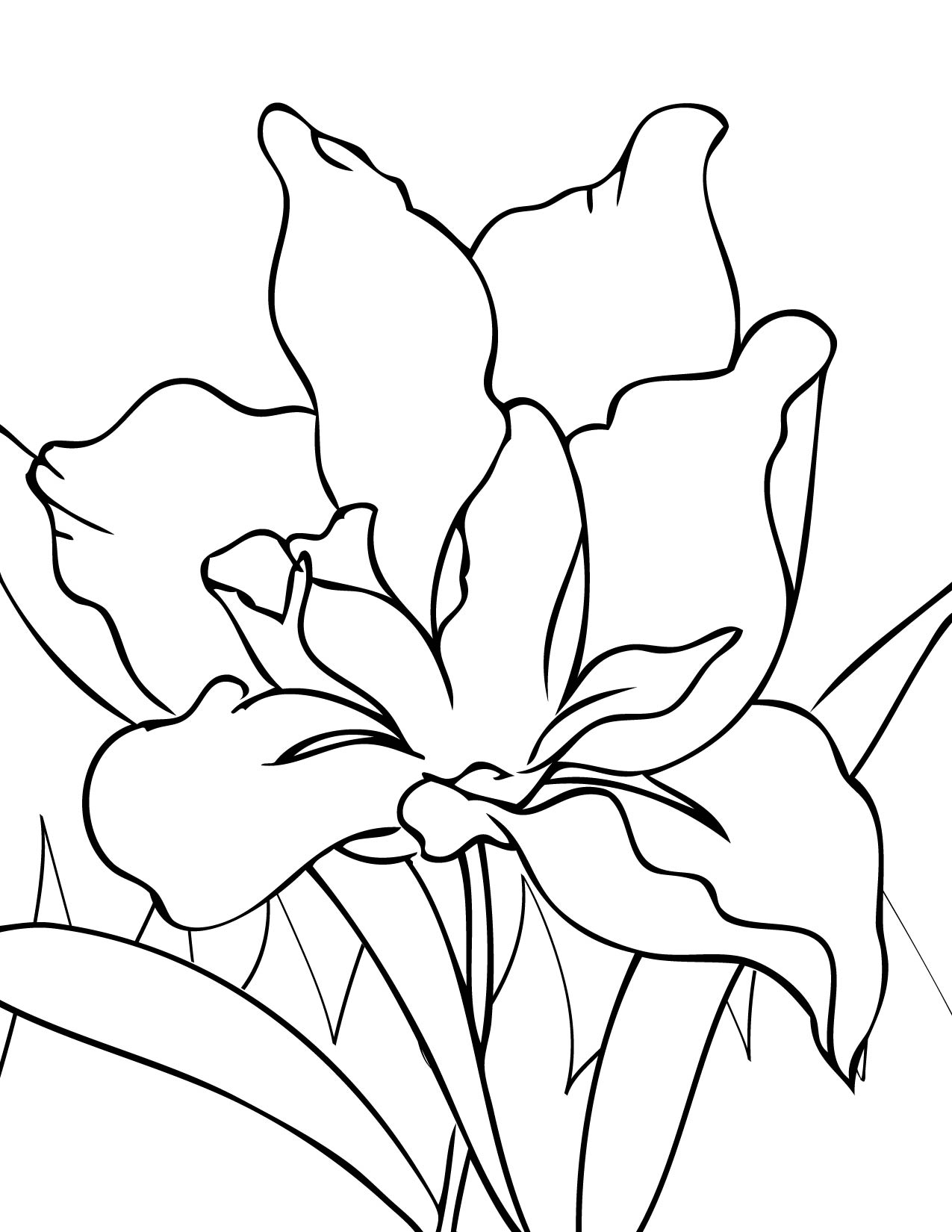 1275x1650 Surprise Iris Flower Coloring Page Handipoints