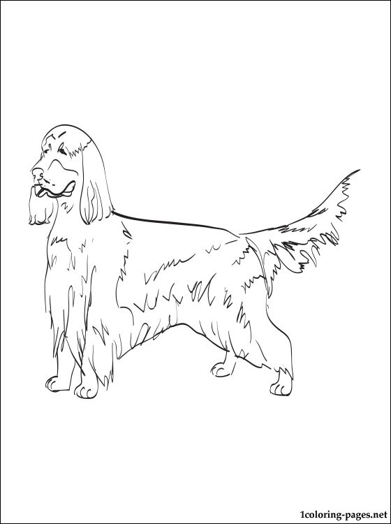 560x750 American Coloring Pages 1915375