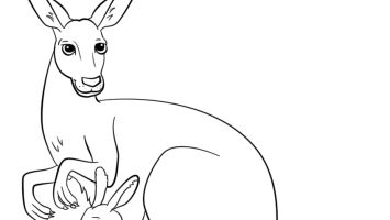 355x200 Irish Setter Coloring Pages To Print Coloring For Kids 2018