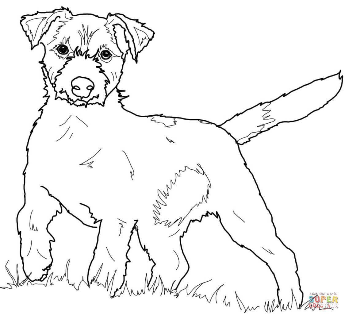 1125x1030 Jack Russell Coloring Pages