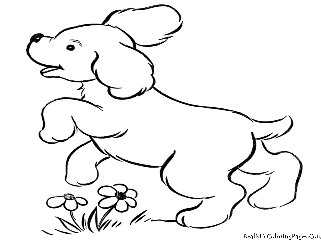 1024x768 Beautiful Color Pages Dogs 76 For Free Coloring Kids With Pictures