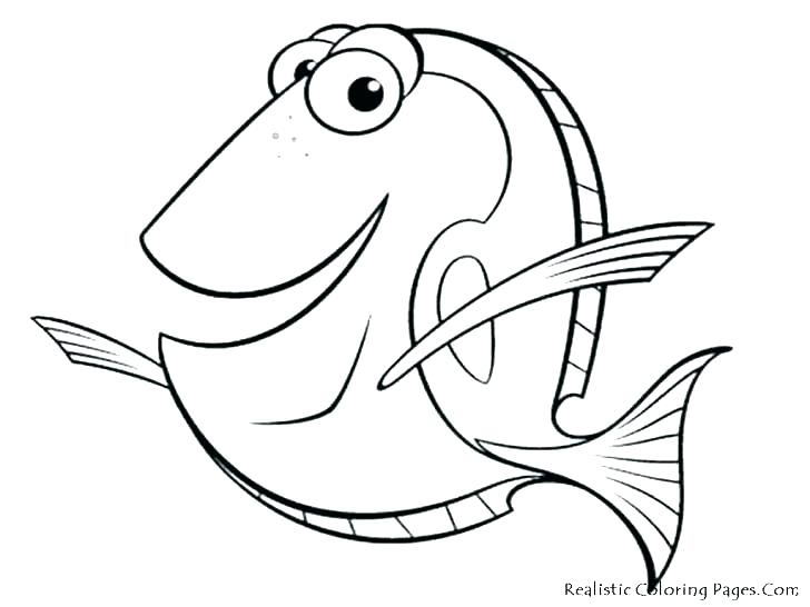 728x546 Spider Coloring Page Spider Color Page Spider Web Coloring Pages