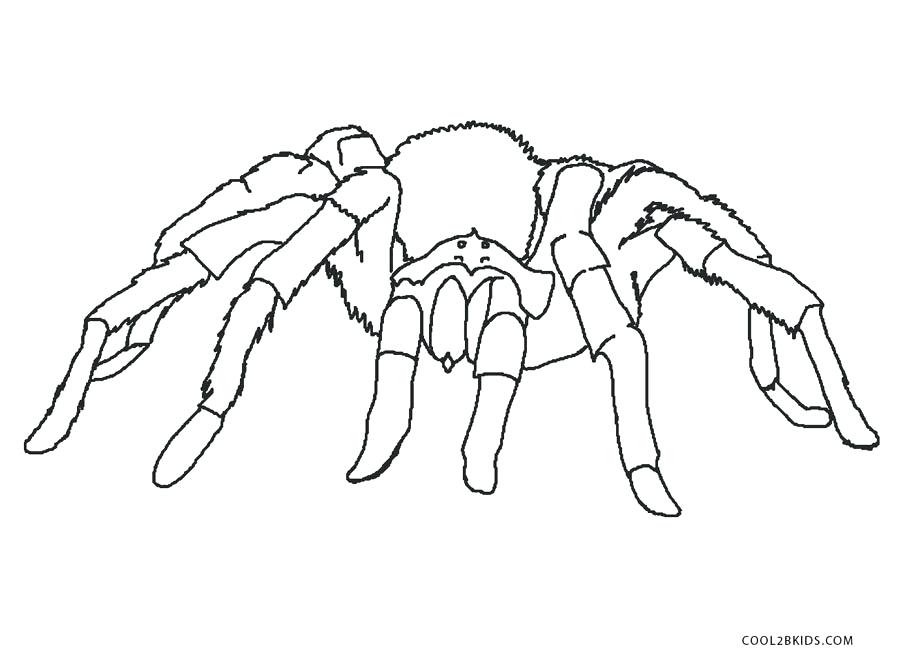 900x668 Spider Coloring Page Spider Coloring Pages Iron Spider Coloring