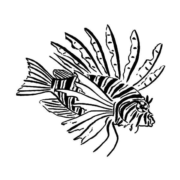 600x600 Isaac Is Born Coloring Pages Unique God Pointed Place Where