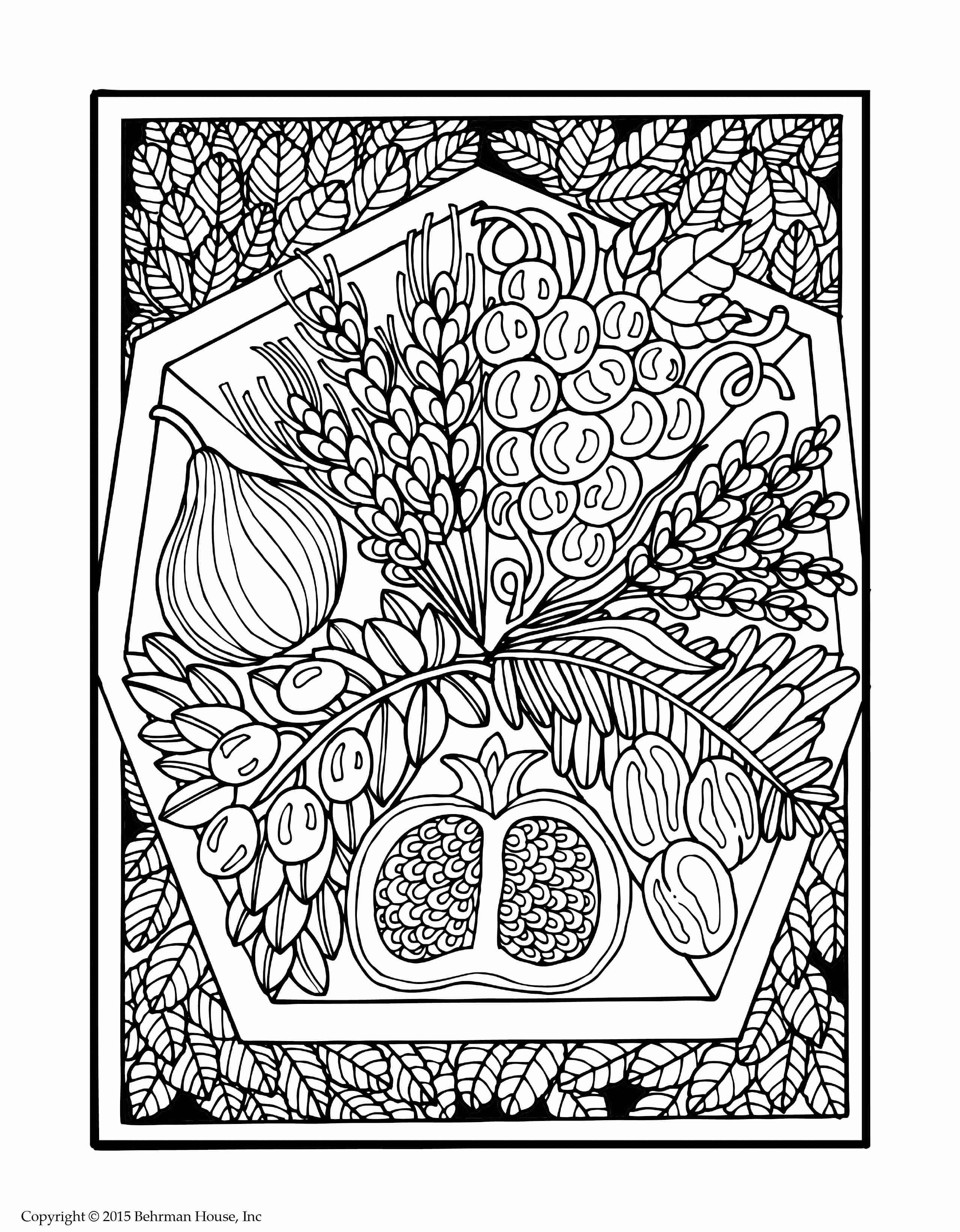 2558x3284 Israel Coloring Pages Coloring Pages Lively Olegratiy