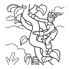 230x230 Top 10 Beans Coloring Pages For Your Little Ones