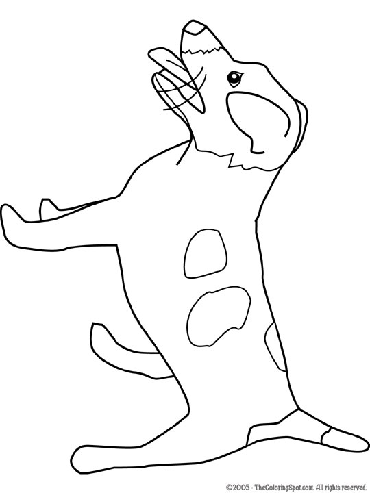 540x720 Jack Russell Terrier Audio Stories For Kids Amp Free Coloring