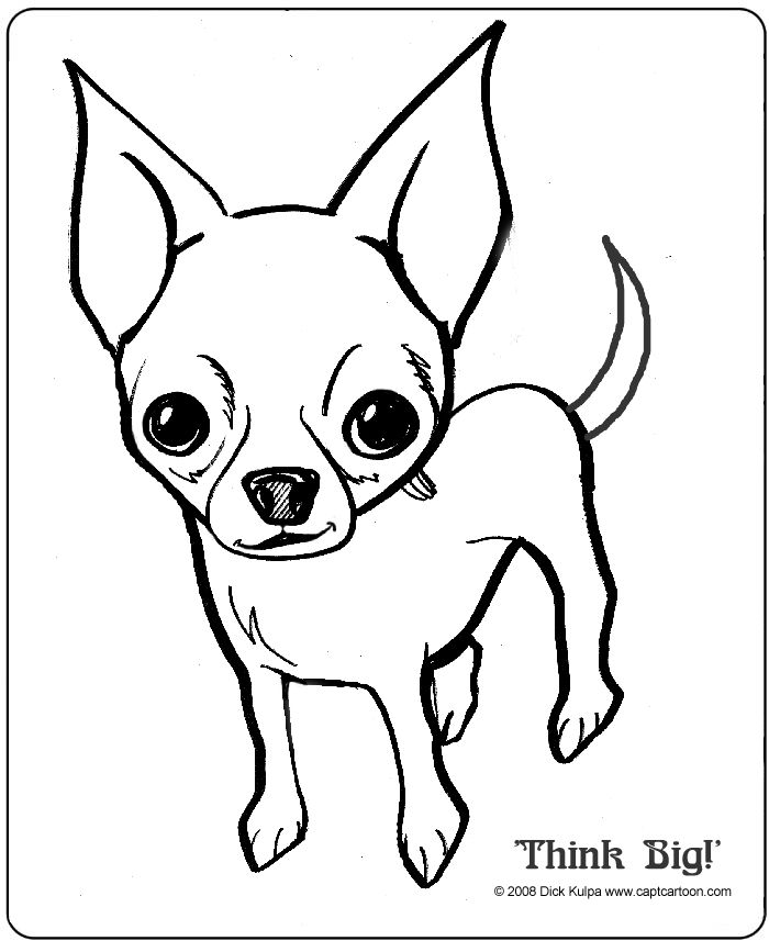 700x857 7 Best Would Like To Digitize Images On Jack Russells