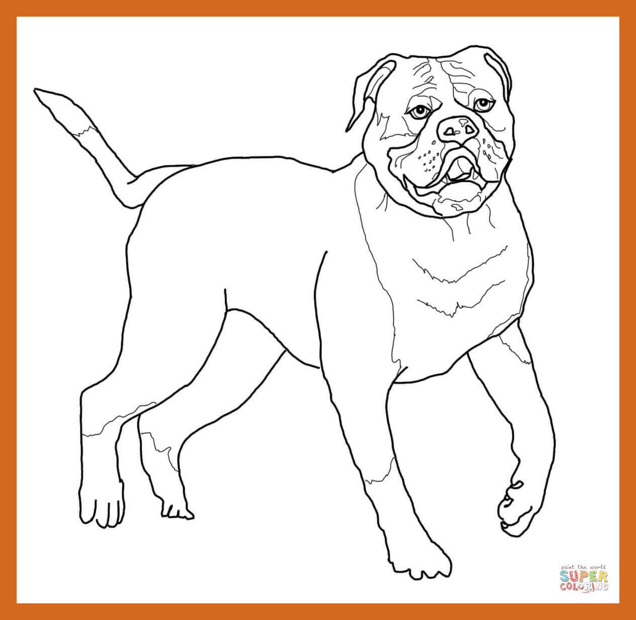 1266x1234 Best Image Result For Coloring Jack Russell Puppy U Art Of Outline