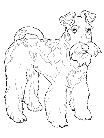 360x480 Samoyed With A Monkey Clown Coloring Page