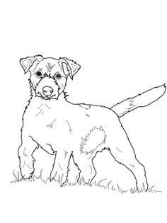 236x315 Dog Color Pages Printable Sleeping Jack Russel Terrier Puppy