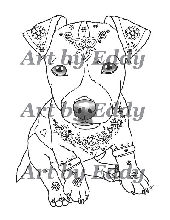 570x738 Art Of Jack Russell Terrier Single Coloring Page