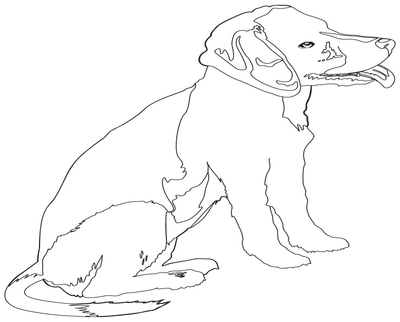 400x322 Coloring Picture Of Bagle Pics Beagle Puppy Pages
