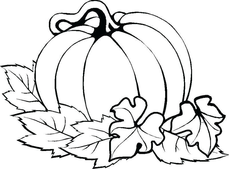 800x592 Jack The Pumpkin King Coloring Pages Jack The Pumpkin King
