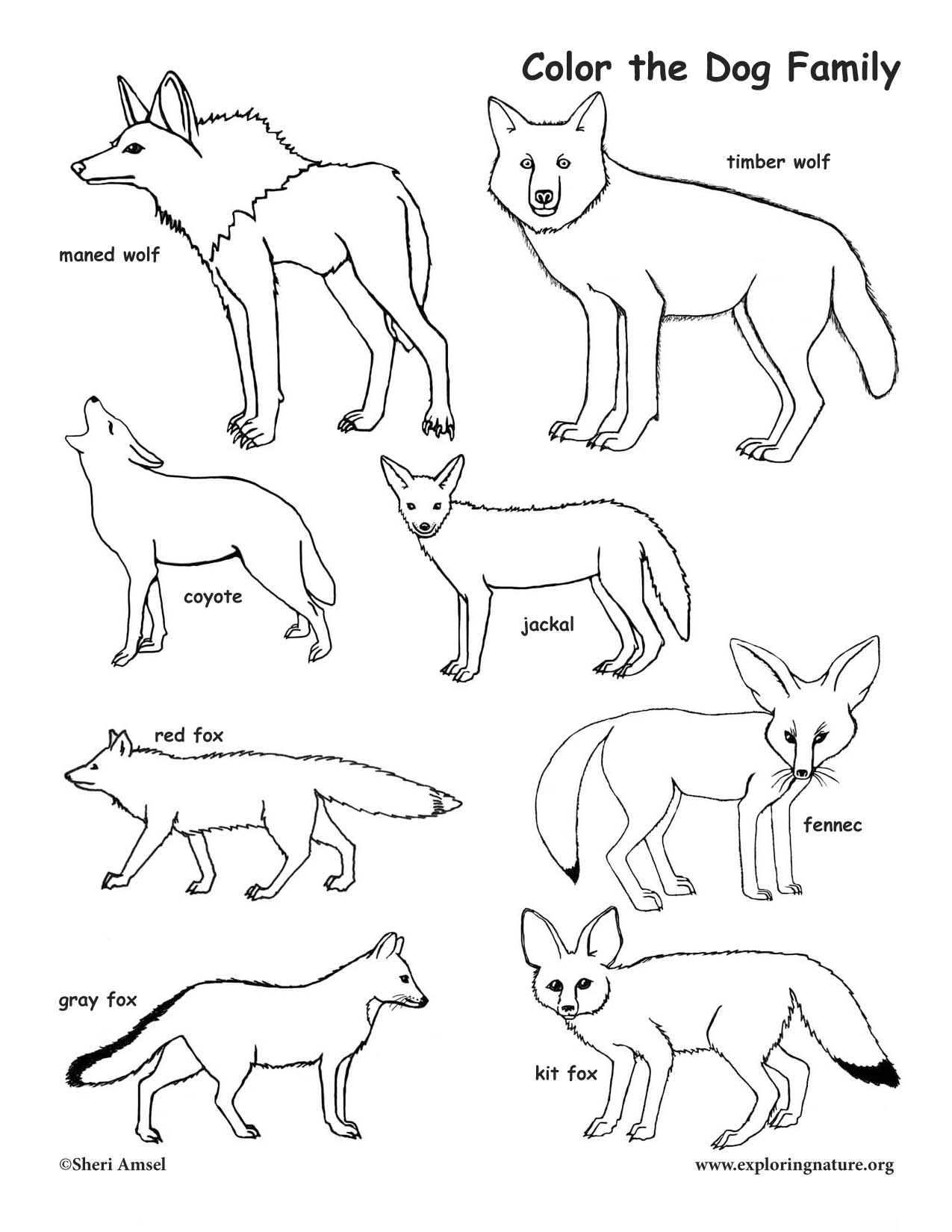 1275x1650 Dog Family Coloring Page
