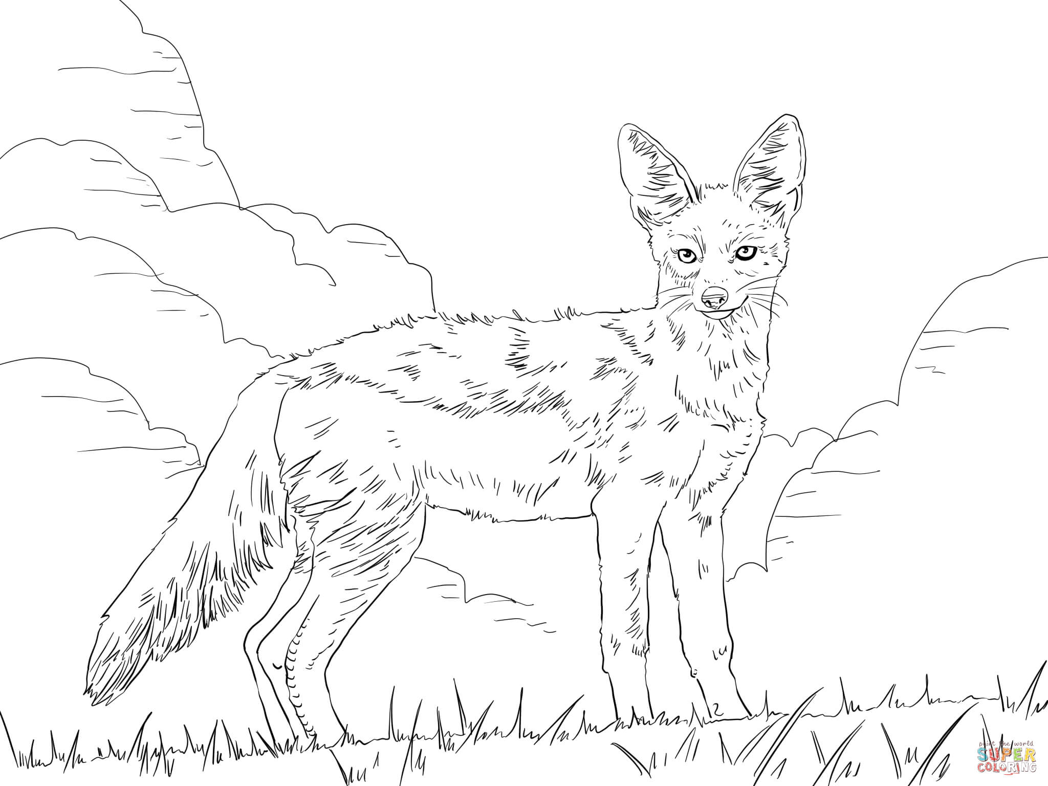2048x1536 How To Draw Jackal Side Striped Jackal Coloring Page Free