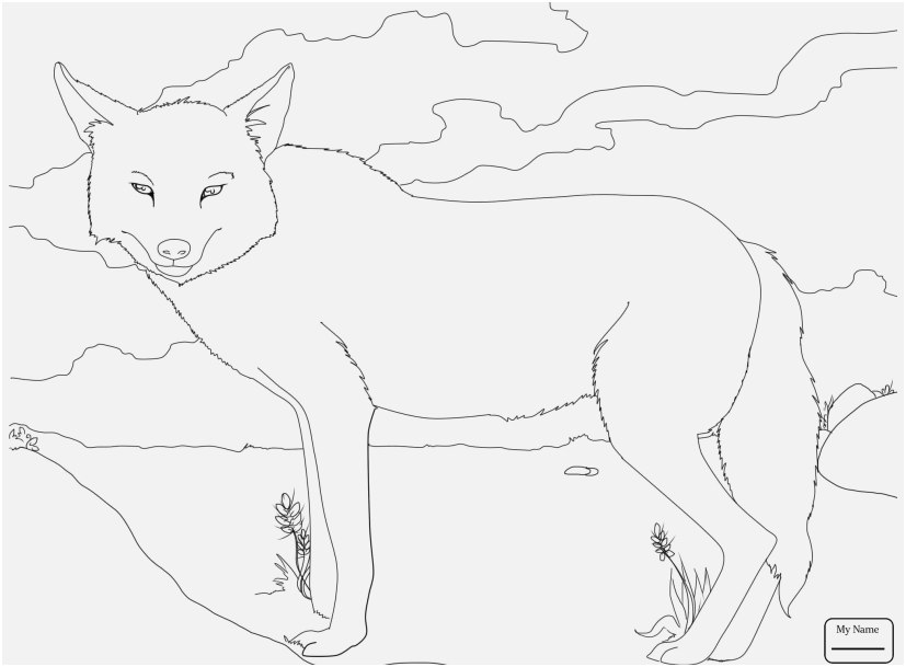 827x609 Top Rated Gallery Mammal Coloring Pages Amazing