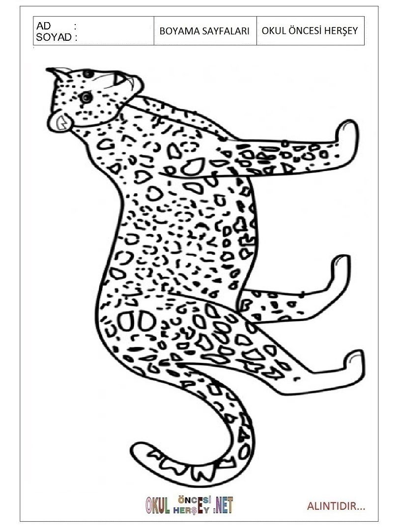 810x1080 Jaguar Coloring Page Beautiful Car Colouring Pages Realistic Baby